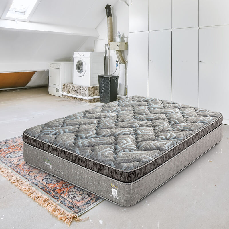 Colch&oacute;n Individual Lester Status image number null