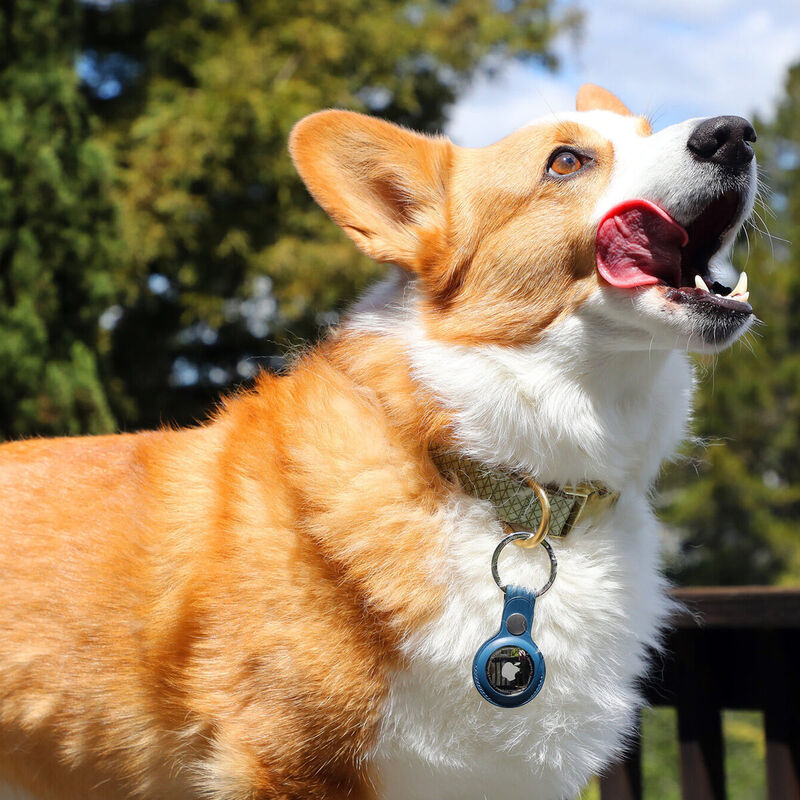 Apple Airtag Dispositivo de Seguimiento image number null