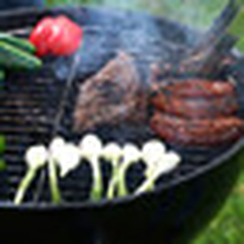 Asador de Carbon Portatil 28cm image number null