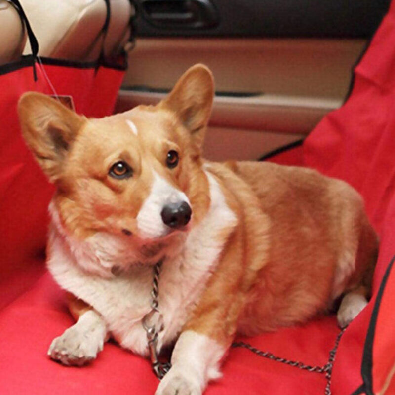 Cubre Asiento para Autom&oacute;vil Completo para Masc... image number null