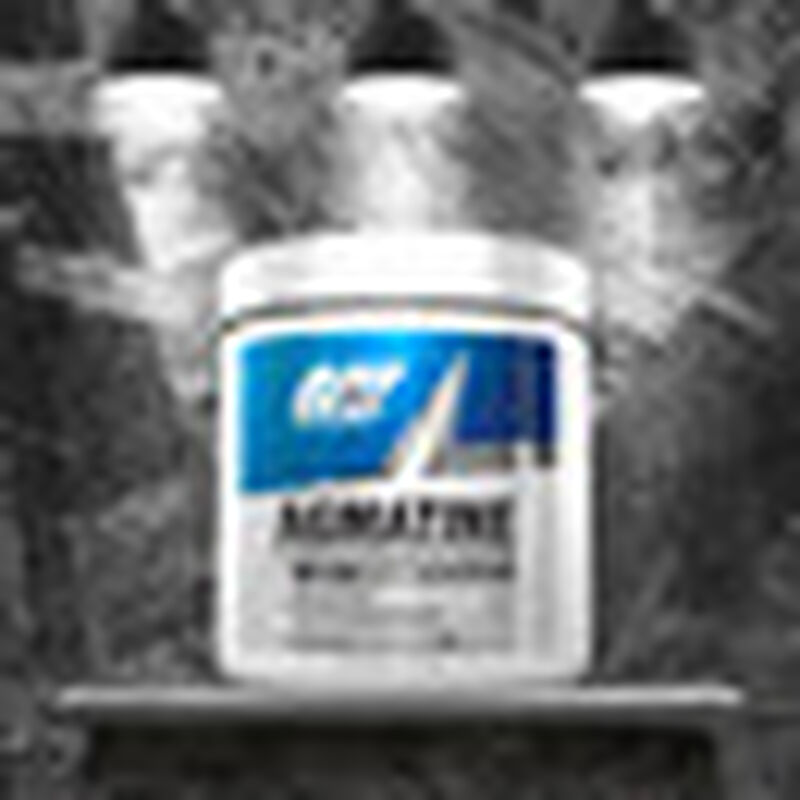 Agmatine of arginine Gat Sin Sabor 100 serv 750... image number null
