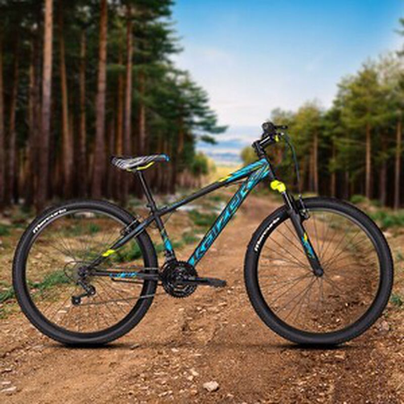 Bici Kaizer Mtb R26 21V Negro Azul image number null
